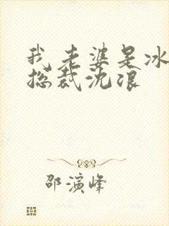 我老婆是冰山女总裁沈浪