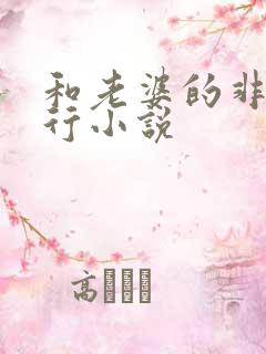 和老婆的非洲旅行小说