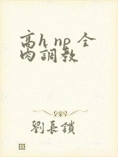 高h np 全肉调教