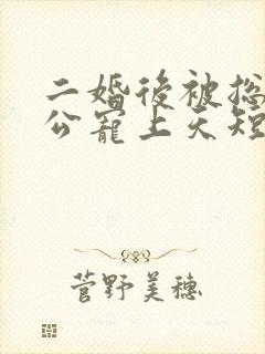 二婚后被总裁老公宠上天短剧免费观看