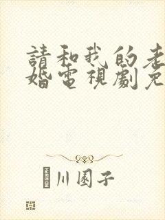 请和我的老公结婚电视剧免费