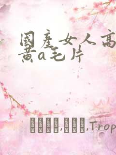 国产女人高潮特黄a毛片