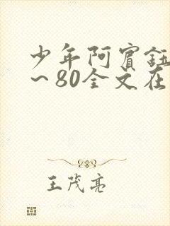 少年阿宾钰慧1～80全文在