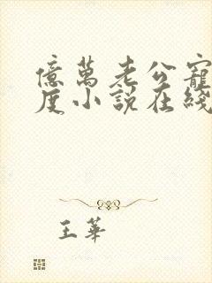 亿万老公宠妻无度小说在线阅读