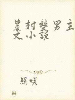 农村双男主训诫文小说