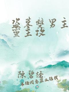 盗墓双男主张起灵主攻