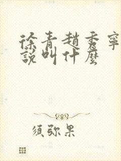 徐青赵秀宁的小说叫什么