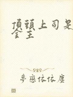 顶头上司是我的金主