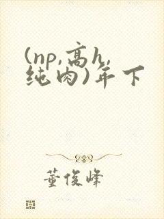 (np,高h,纯肉)年下