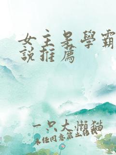 女主是学霸的小说推荐