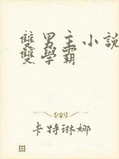 双男主小说校园双学霸