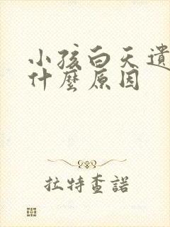 小孩白天遗尿是什么原因