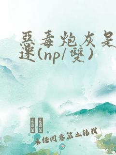 恶毒炮灰是万人迷(np/双)