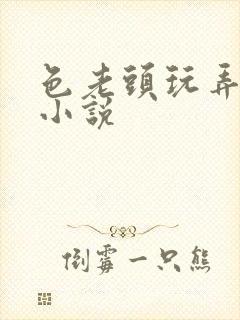 色老头玩弄系列小说