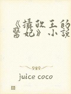 《摄政王的战神医妃》小说