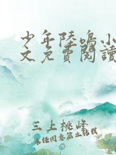 少年陆鸣小说全文免费阅读