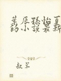 叶辰孙怡夏若雪的小说最新章节