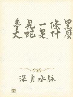 梦见一条黑色的大蛇是什么预兆 女性