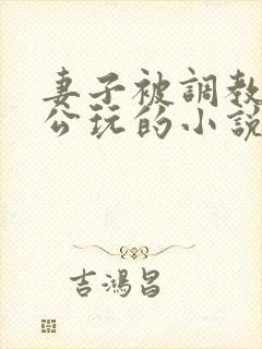 妻子被调教给老公玩的小说