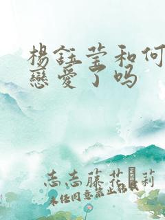 杨钰莹和何炅谈恋爱了吗