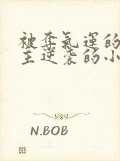 被夺气运的原女主逆袭的小说