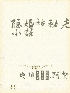 隐婚神秘老公 小说
