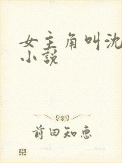 女主角叫沈柔的小说