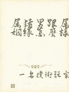 属猪男跟属兔女姻缘怎么样