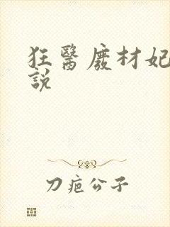 狂医废材妃 小说