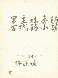 男主姓秦的穿越古代的小说