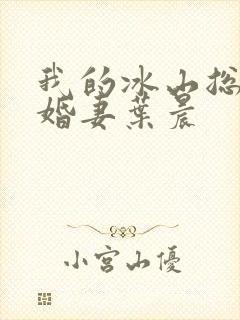 我的冰山总裁未婚妻叶晨