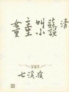 女主叫苏清婉的重生小说