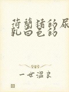 荷兰猪的尿液是乳白色的