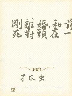 刚离婚,和前妻死对头在一起了短剧热播