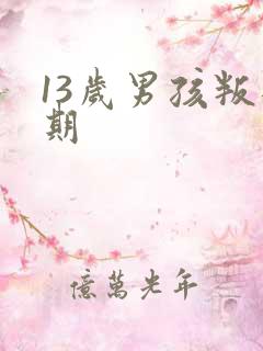 13岁男孩叛逆期