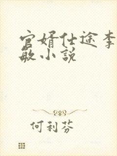 官婿仕途李冰赵敏小说