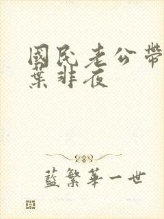 国民老公带回家叶非夜