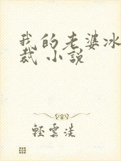 我的老婆冰山总裁 小说