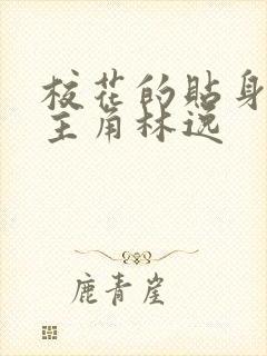 校花的贴身高手主角林逸