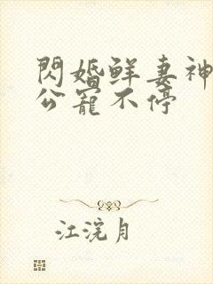 闪婚鲜妻神秘老公宠不停