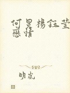 何炅杨钰莹公开恋情