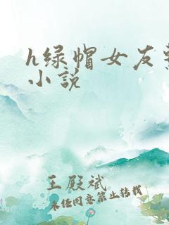 h绿帽女友系列小说