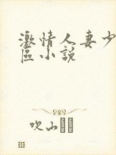 激情人妻少妇一区小说