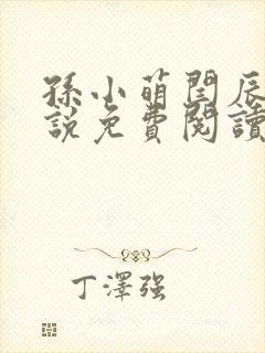 孙小萌闫辰的小说免费阅读全文