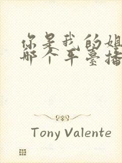 你是我的姐妹在哪个平台播出