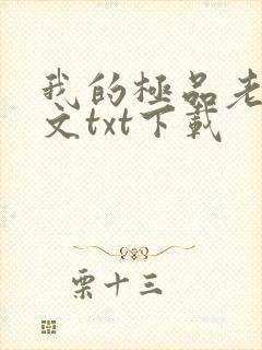 我的极品老婆全文txt下载