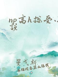 np高h总受小说