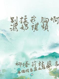 别揉我胸啊嗯摸湿奶视频