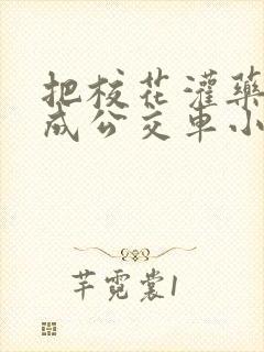 把校花灌药调教成公交车小说