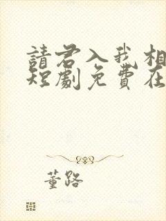 请君入我相思局短剧免费在线观看